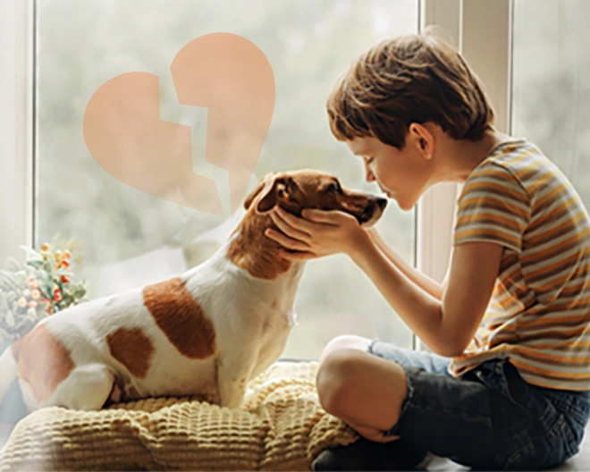 a-guide-to-coping-with-the-loss-of-a-furry-friend